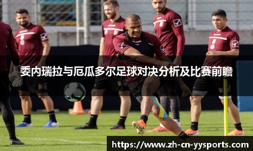易游YY体育APP
